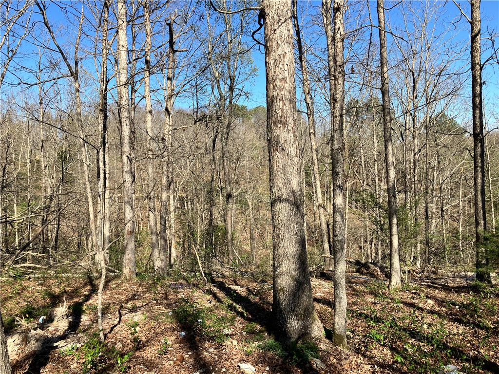 05-17-32 Rural - Land