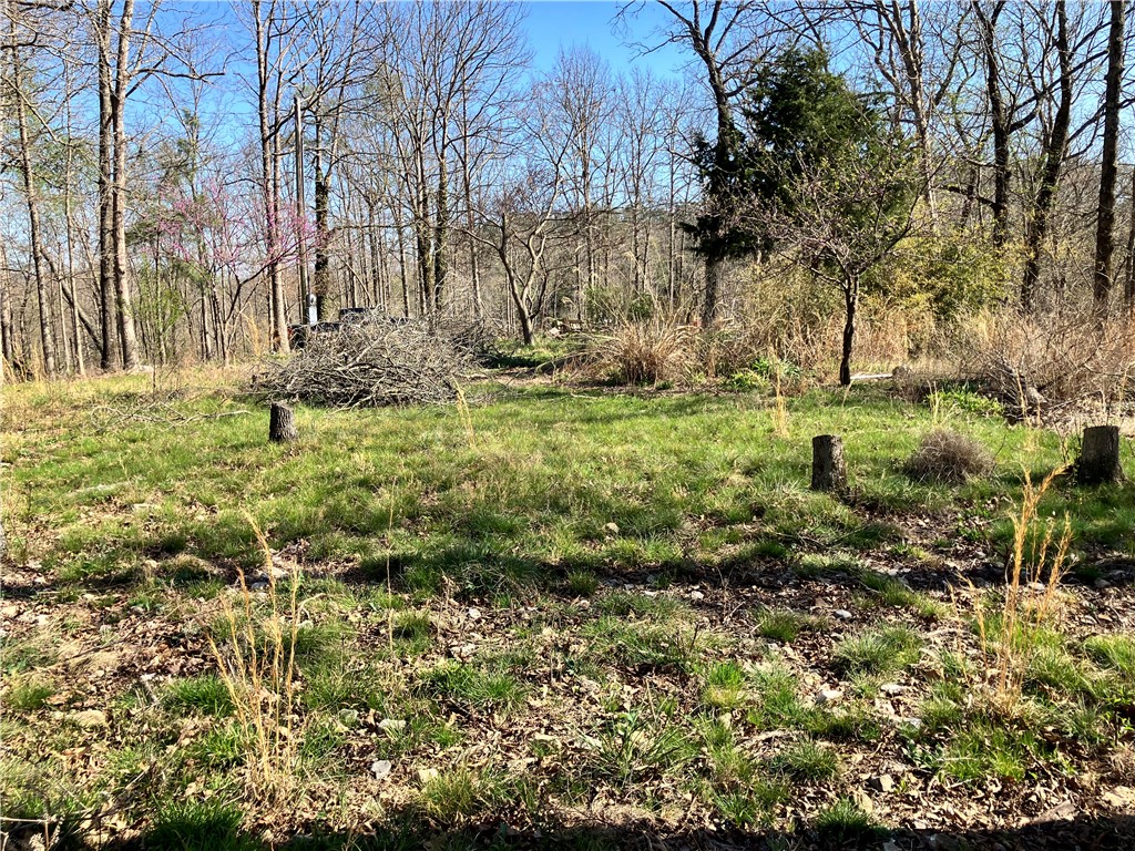 05-17-32 Rural - Land