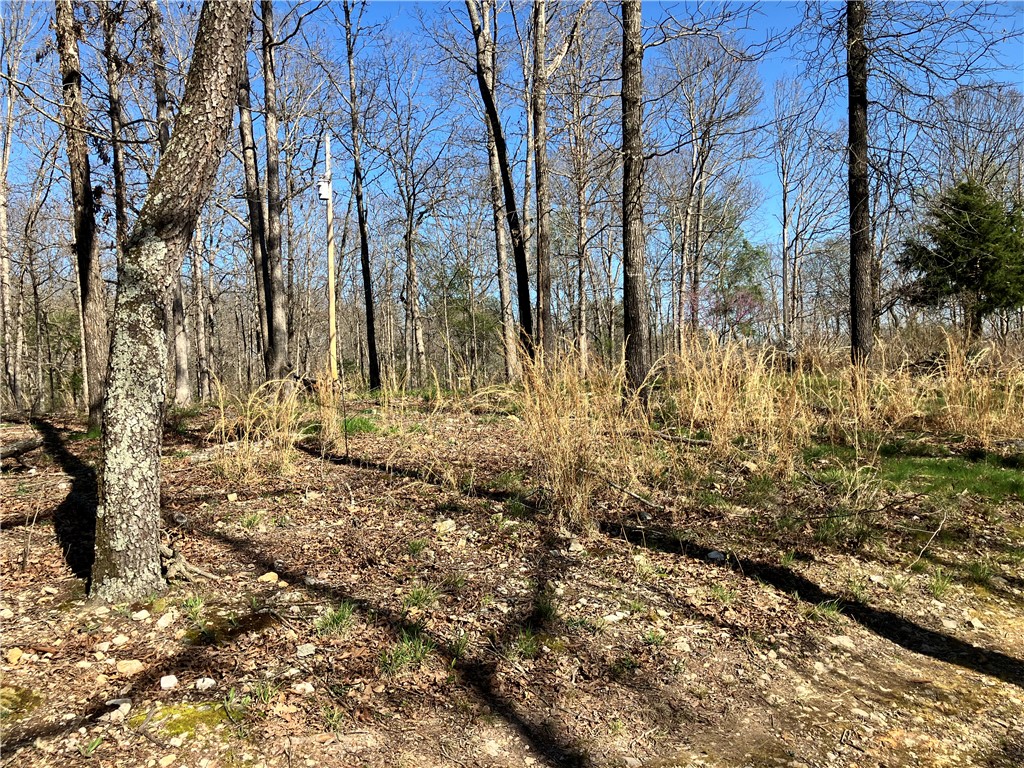 05-17-32 Rural - Land