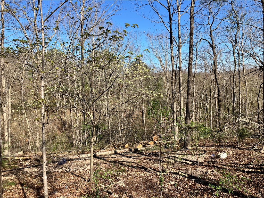 05-17-32 Rural - Land