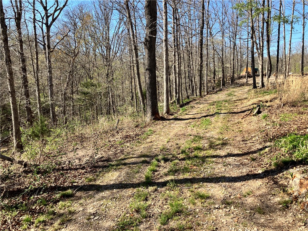 05-17-32 Rural - Land