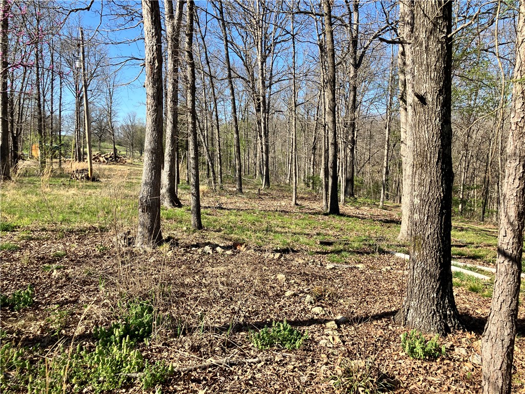 05-17-32 Rural - Land