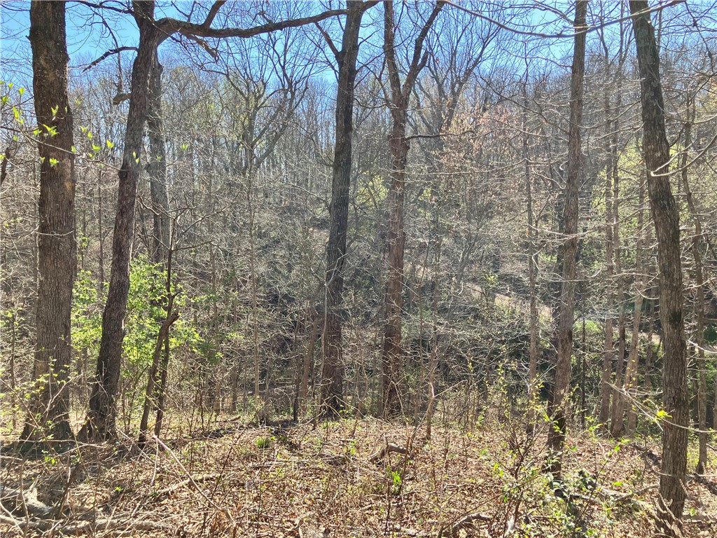 05-17-32 Rural - Land