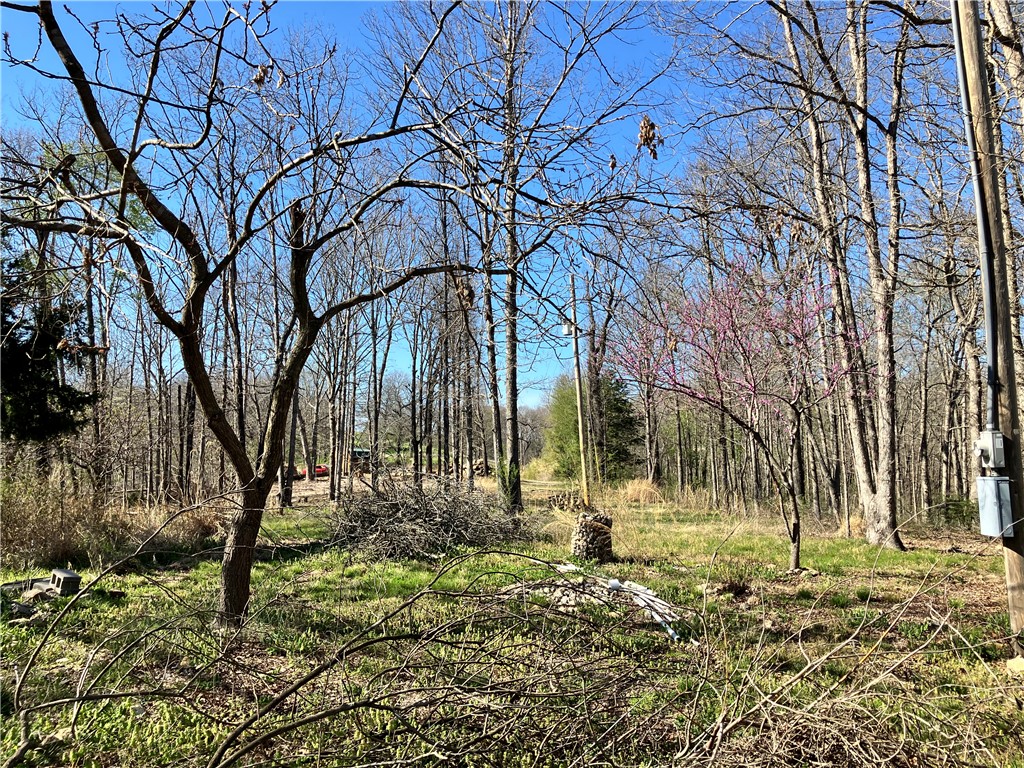 05-17-32 Rural - Land