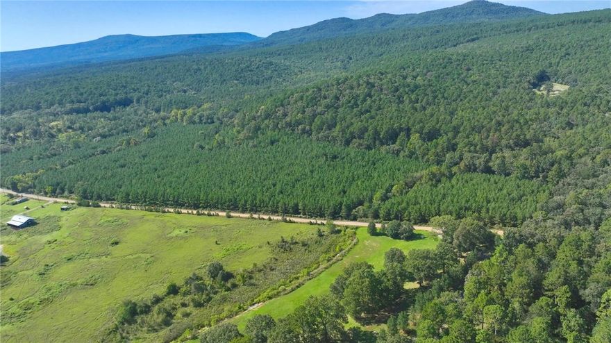 This 31.26+/- acres pine timber tract in Yell County offers the perfect blend of convenience & seclusion. Located just 30 minutes from Russellville, this property offers both privacy & convenience for the avid hunters looking for a private place to hunt that is close to home. With 0.4 miles of frontage along Slo Fork Road, the property has excellent public road access.