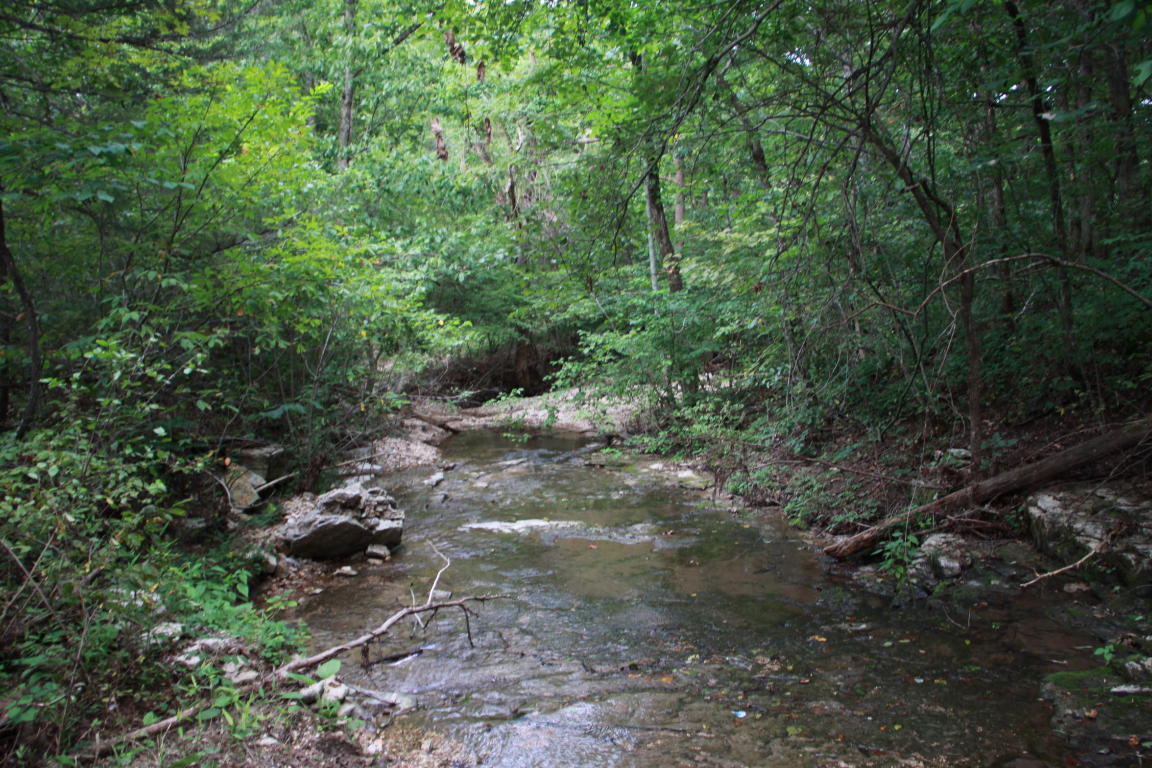 End of the road wooded parcel. Great for hunting.