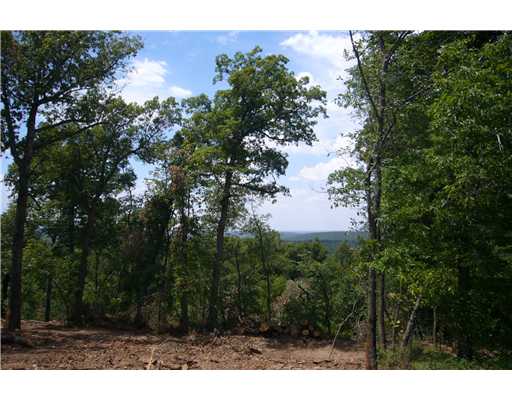 ATTENTION VIEW SEEKERS! HERE ON 5.31 ACRES AND A 1900' ELEVATION, YOU HAVE A BEAUTIFUL VIEW TO INSPIRE YOUR HOME. PAVED FRONTAGE ONLY 5 MINUTES FROM HWY 540 ACCESS.