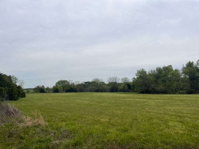 No - Land