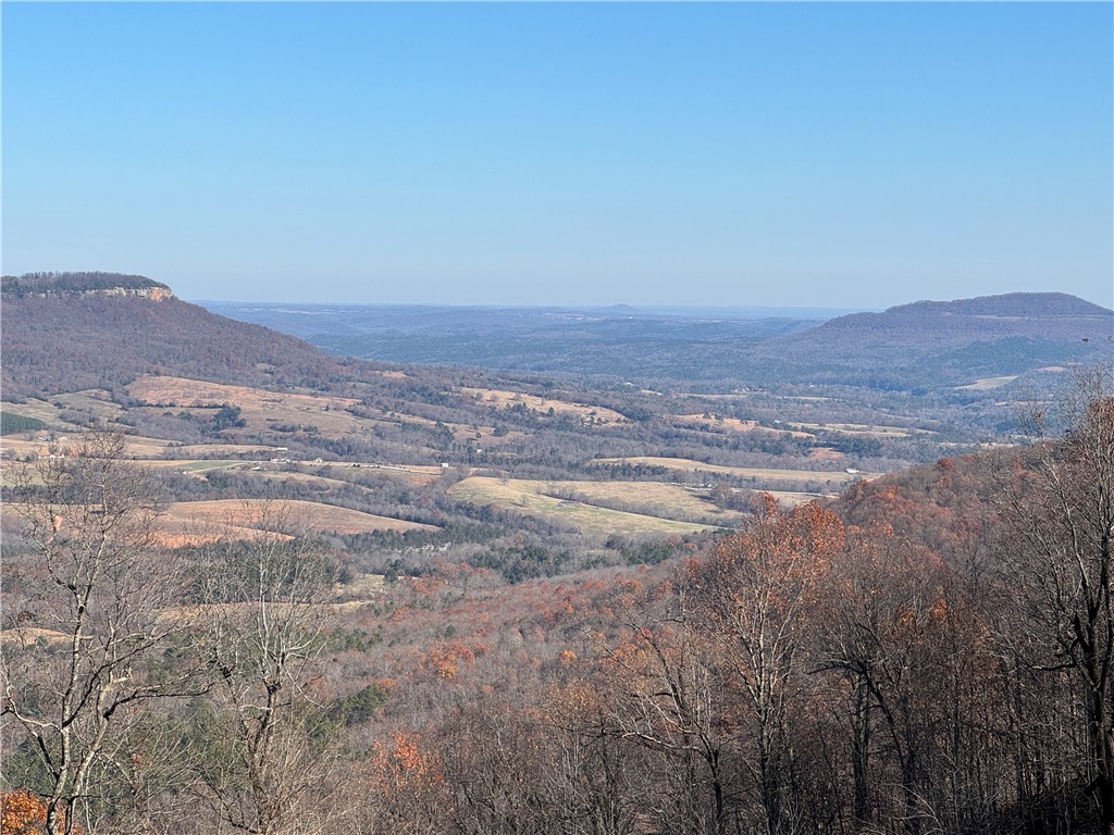 WHAT A VIEW!!! Arkansas Grand Canyon views are the best. This 4.6-acre tract has rural water and electric on site. Make this dream become a reality. Retirement home, investment property, you name it. Properties like this don't come along very often in beautiful Newton County, Arkansas. Just minutes from the famous Cliff House Restaurant, Jasper, Buffalo National River, Ozark National Forest and all the area has to offer.