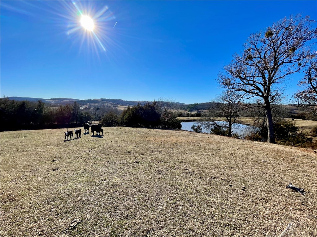Views galore with so many options on this gorgeous 40 acre m/l property. Got cows, horses, goats,etc? Mostly pasture, fenced & cross fenced, 3 ponds offering plenty of options for livestock. Public water & natural gas available right on the property. Build a beautiful home on the mountain top and have your own private Ozark Mountain Views 24/7. Several good building sites. Perfect location being so close(1 mile)to all the town amenities offering convenience for your new Ozark Mountain Farm. Easy commute to NW AR metro areas under a 35 min drive to Fayetteville/Springdale, AR. Just 31 miles away to float the Buffalo River. Just 1 hr 30 mins to Branson SDC.