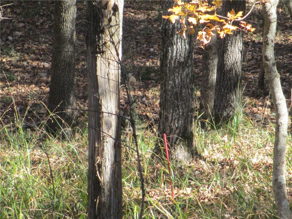 Unit 5 Holiday Island - Residential