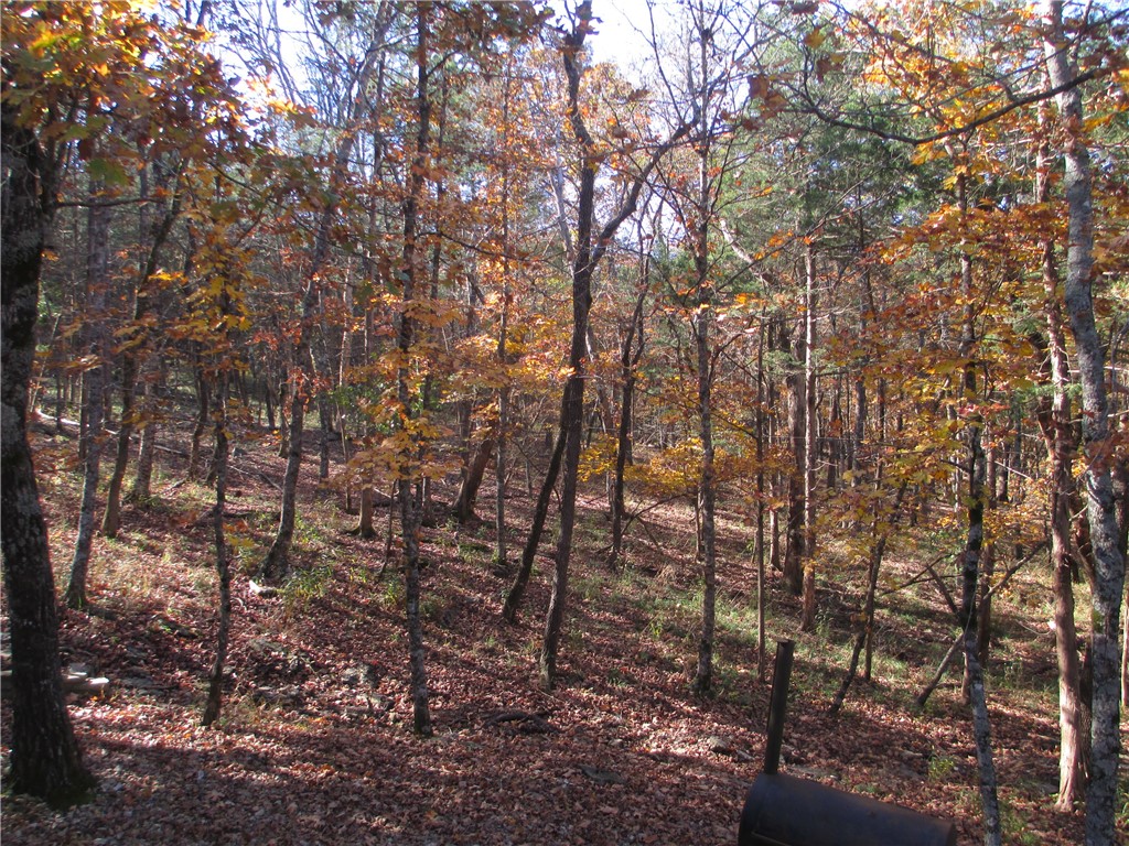 Unit 5 Holiday Island - Residential