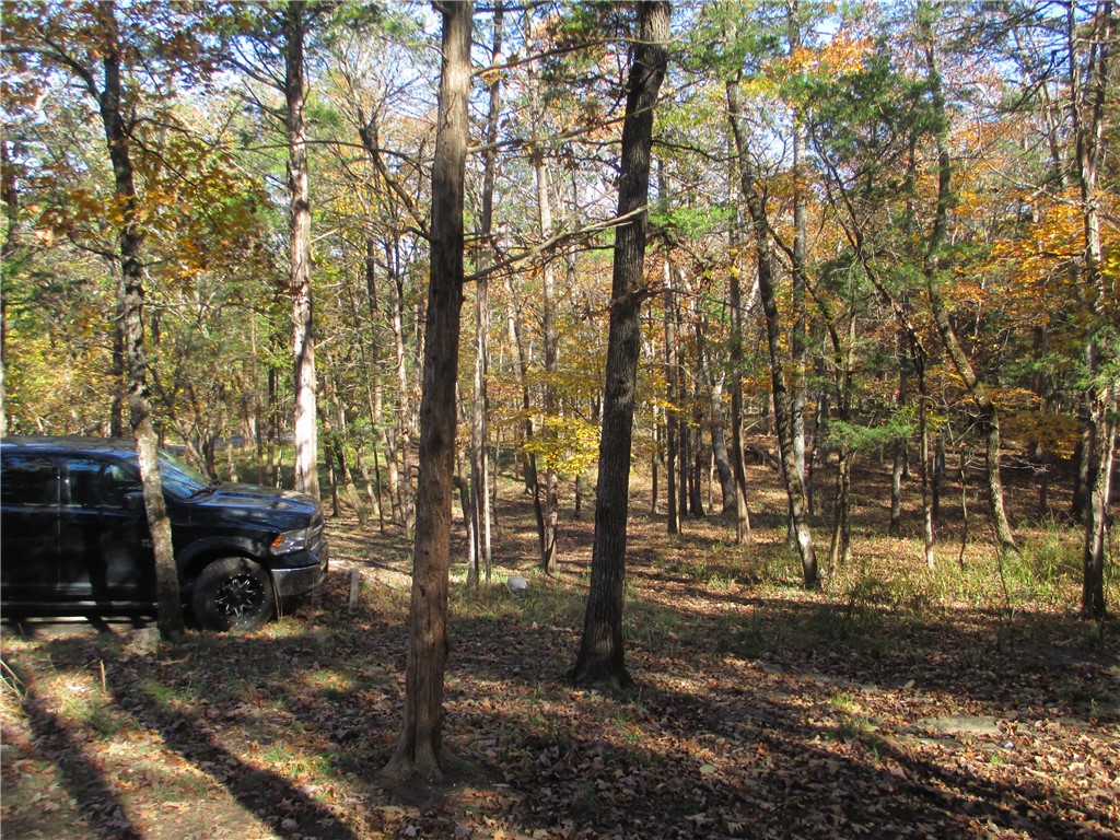 Unit 5 Holiday Island - Residential