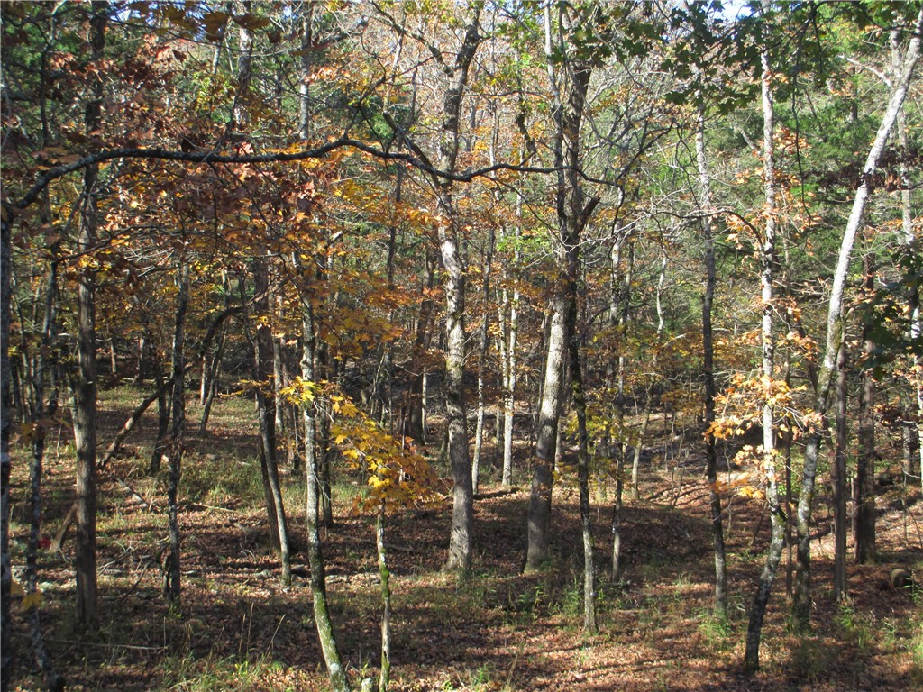 Unit 5 Holiday Island - Residential