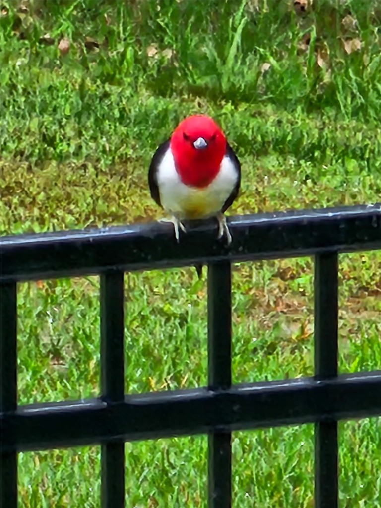 Avalon Sub Rurban - Residential