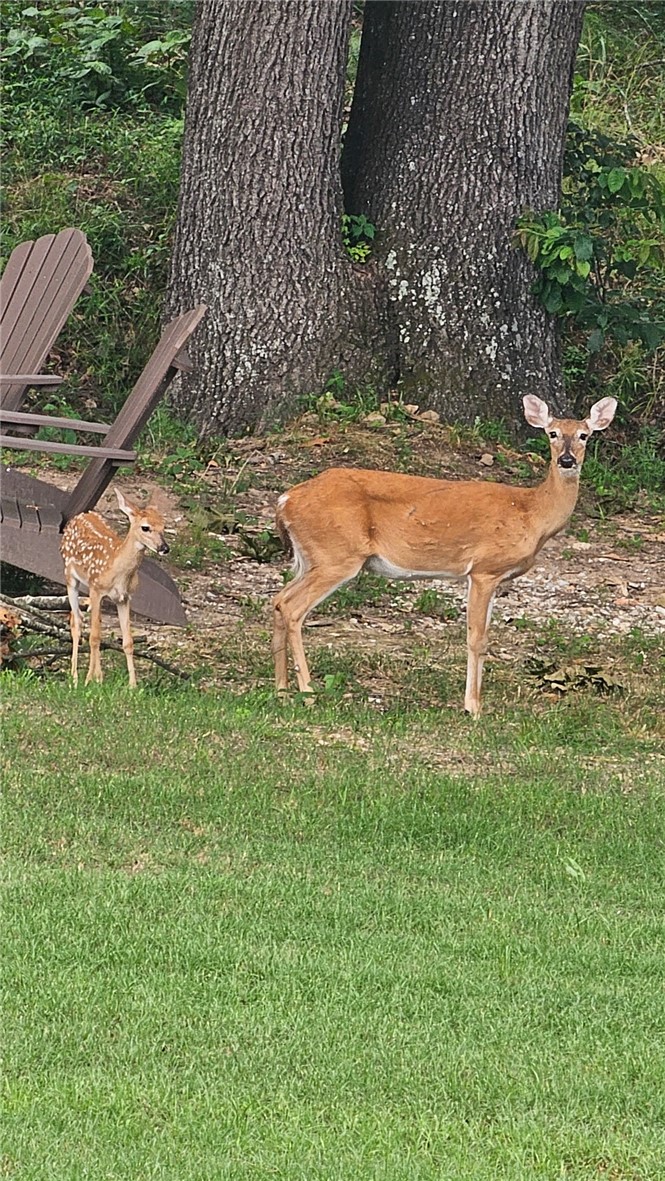 Avalon Sub Rurban - Residential