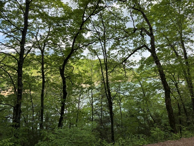 Glen Oaks Subdivision - Land