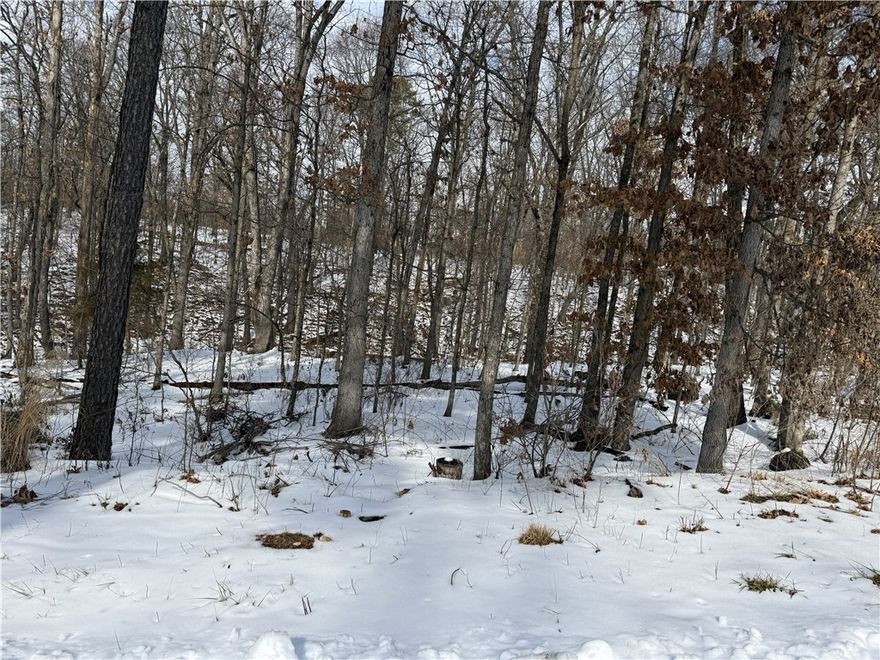 Lot 5 on Fowey Lane in Bella Vista, AR is a quiet, wooded 0.24-acre cul-de-sac property that backs up to public land, offering privacy, natural beauty, and quick access to some of Northwest Arkansas’ best outdoor amenities.  Close to Lake Norwood and Lake Ann, great for fishing, kayaking, and scenic walks. 
This lot is a short ride to the Back 40 and Flo Ride mountain biking trails—some of the most popular in the region.  Quick connection to Lancashire Blvd, placing you minutes from Bella Vista Country Club, Local shopping, Jane, MO Walmart, Bentonville dining, entertainment, and healthcare options.