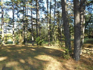 Oh my! What a magnificent view of the city! This is one of the last (if not the last) lot with such a panoramic view of Russellville. If you have been dreaming of a site to build your ''forever'' home, this has got to be it!!