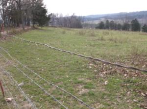 Nice 10 Acres of pasture - small barn with stalls; well on property; 2 frost free water hydrants; all fenced - 2 gates near Bull Shoals Lake for fishing & boating; barn is fenced off with appx 1/2 acre to 1 acre lot.