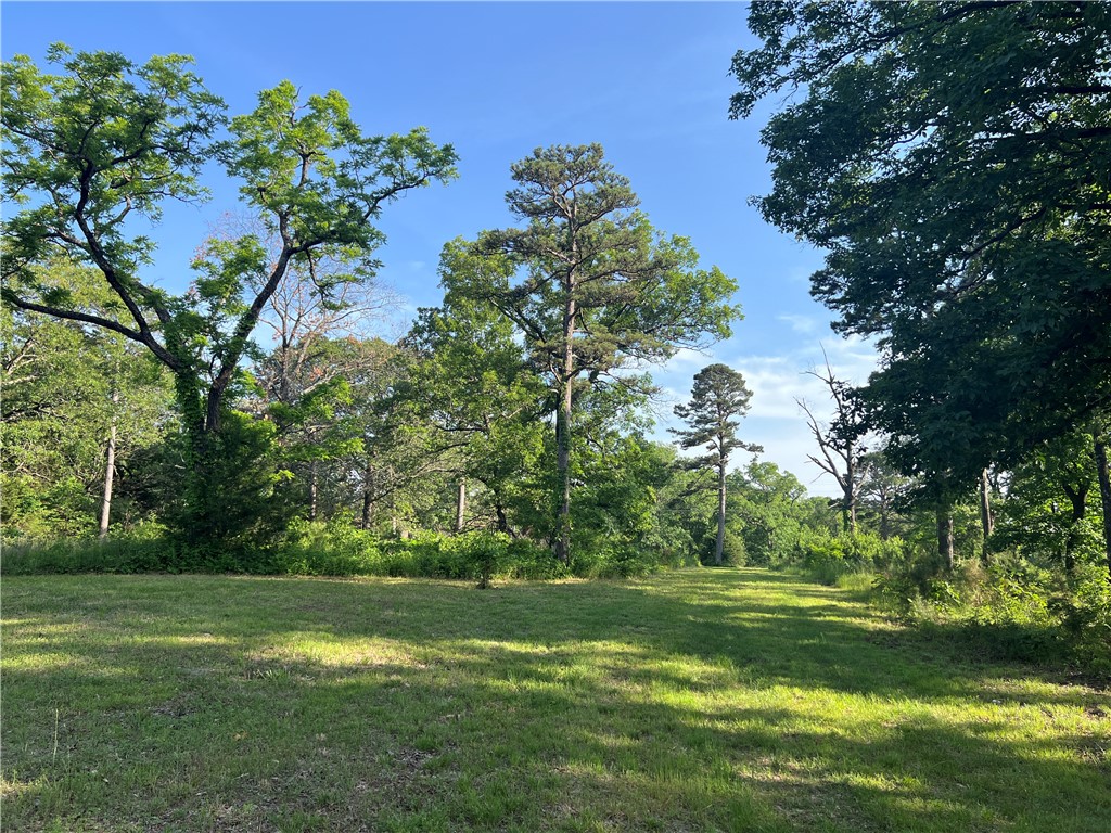 Location, location, location! Rare opportunity to own 55.75 acres of quality developable property with 1/3 mile frontage on Hwy 23. Amenities include grocery shopping, restaurants, banking, hardware, fire and police protection, gas, a convenience store and more are located next door. Only 5 miles to Eureka Springs and 4.5 miles to the Holiday Island Marina. Mixed topography with flat pasture, flat wooded areas and many outstanding rock outcroppings. Incredible south facing views including Lake Leatherwood. The perimeter is mostly fenced with roads throughout the property (some require 4WD) There is a 32 x 20 metal building and carport and electric is available on property. This is an awesome opportunity for retail or residential development.