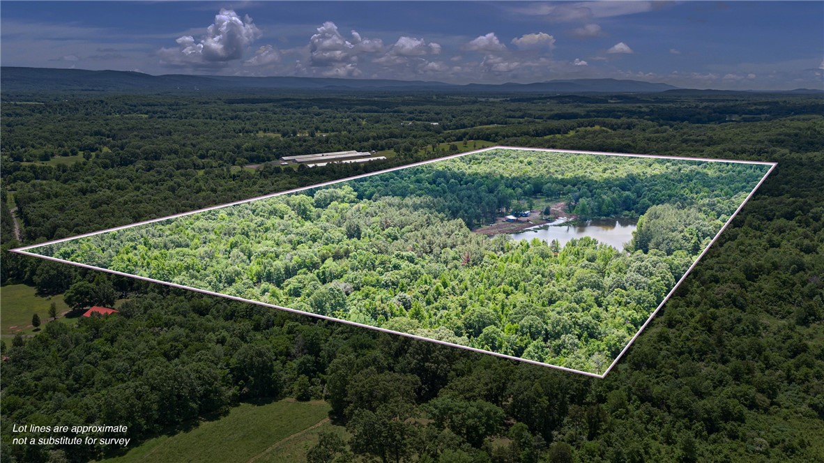 Located in the heart of Yell county, this 88 +/- acre lot comes with a 800 square foot shop, large stocked pond`, mature timber, and leveled land. This property is perfect for anyone interested in farming, hunting or building their dream home. Explore the possibilities and make this versatile land your OWN!