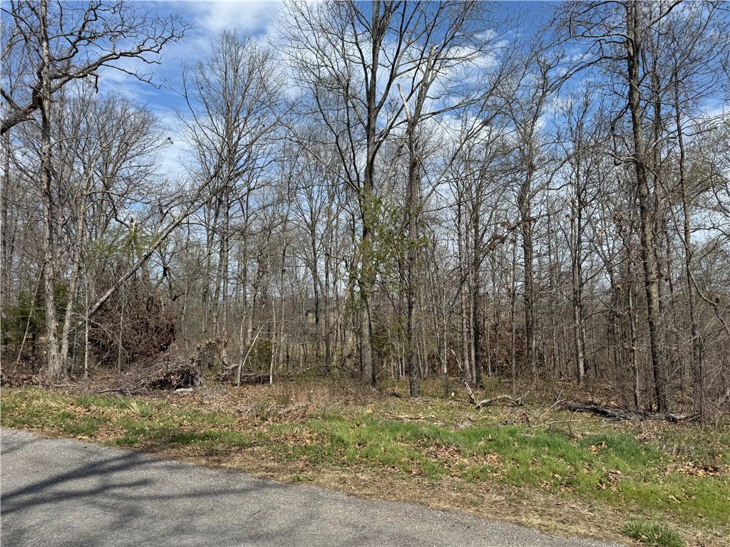 Donāt miss this 0.26-acre lot in a quiet and scenic area of Bella Vista! Just a short drive to Lake Loch Lomond, golf courses, and recreation centers, this property provides endless possibilities. Whether you're looking for a full-time residence or a weekend retreat, this is the perfect spot to build your dream home!