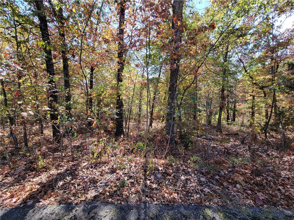 Large lot and nicely shaped to build your new home on. Seller has had a perc test done recently. The results show the amount of lateral lines needed for a 2, 3, and 4-bedroom home. The front half of the lot is only mildly sloped.