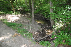 THIS 10 ACRES HAS AN ARRAY OF NICE BIG OAK TREES, WITH A YEAR ROUND LIVE SPRING,HAS A REALLY NICE BUIDLING SITE FOR A CABIN, NEAR THE BUFFALO RIVER AND CLOSE PROXIMITY TO HWY 14. ELECTRIC IS ON PROPERTY AND TELEPHONE LINE IS BY THE ROAD ON PROPERTY, WATER SOURCE COULD BE YOUR SPRING, VERY PEACEFUL AND SERENE. ELVATION IS 942 FT. COORDINATES N 36.043049 W-92.555395