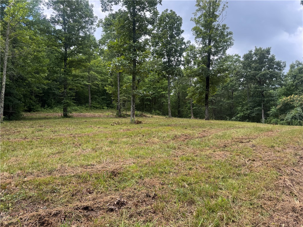 Located in beautiful Newton County, Arkansas, this stunning 33+/- acre property sits just off Scenic Highway 7 South, directly across from the iconic Arkansas Grand Canyon and only minutes from the charming town of Jasper. This diverse property features two spring-fed ponds, seasonal creek, a mix of open, cleared areas ideal for building your dream home or setting up an RV, and established ATV trails throughout for easy exploration. Whether youāre looking for a recreational getaway, homesite, or investment opportunity, this land offers endless potential. Enjoy close proximity to the Buffalo National River, Ozark National Forest, hiking trails, waterfalls, and all the outdoor adventures this region is known for. Donāt miss your chance to own a piece of the Ozarks!