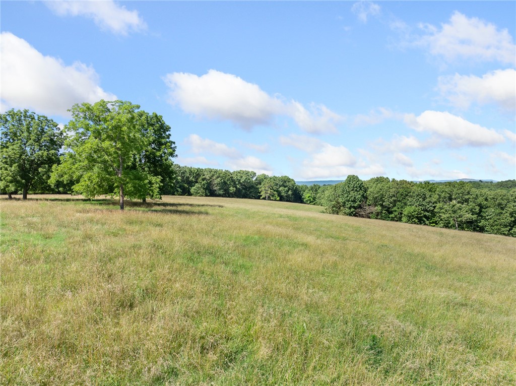 If you’ve been looking for a solid Boone County farm, this 106-acre tract just 5 miles northeast of Harrison might be perfect for you. It’s a good mix of pasture and timber with incredible views, and it’s set up to work. Speaking of pasture—this place grows the grass!! Just look at the pictures. It’s fenced and cross-fenced with two ponds, a private well, and freeze-proof waterers already in place, making it perfect for a cattle operation. Electric’s on site, rural water is available at the road, and there’s a well house for additional storage. Whether you’re wanting a place to run cows, hunt, spread out, or maybe build a dream home close to town, this one’s got the kind of layout buyers are looking for.
