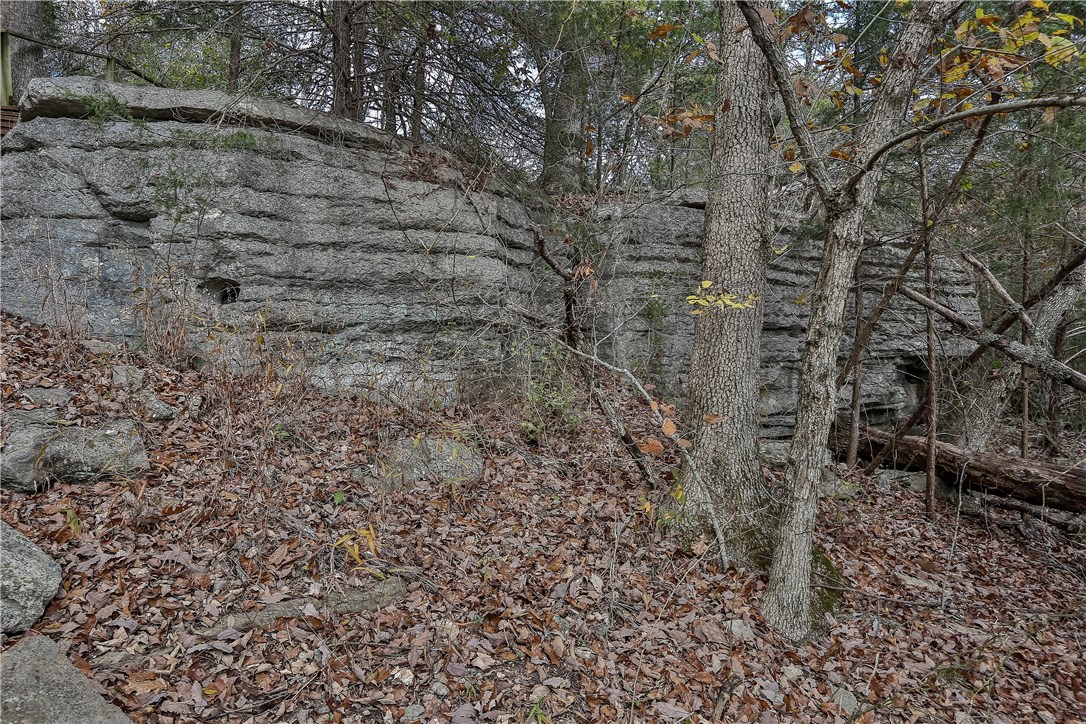 Runnymede - Residential