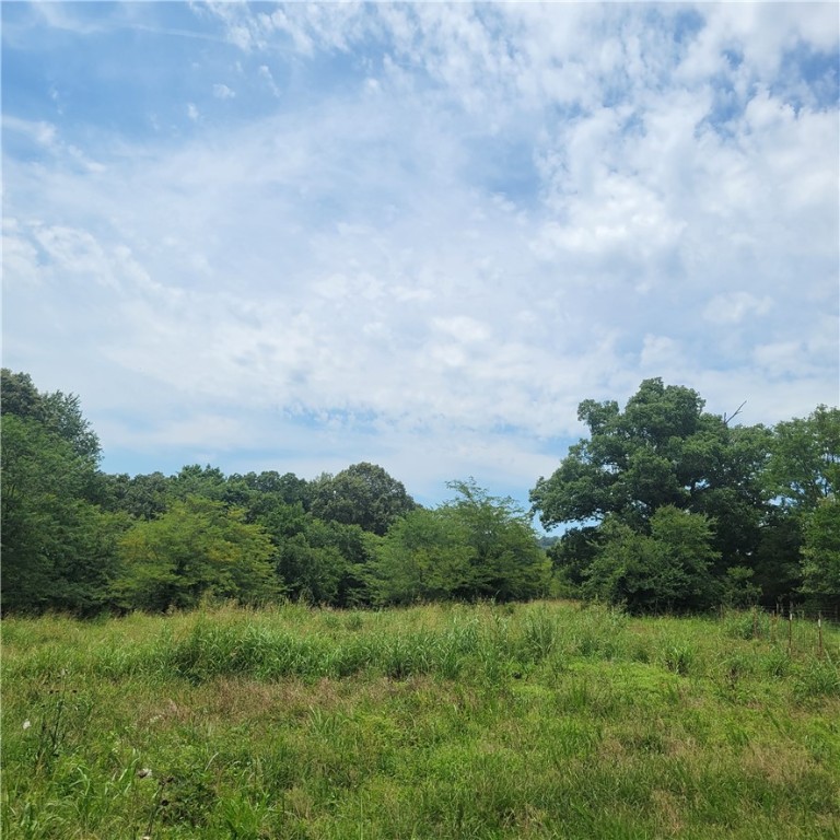 60 acres MOL, located on a paved road and in Prairie Grove school district! If you are looking for that secluded, rural piece of property, AND you are craving an adventure, this may be for you. The mountainous terrain is mixed-use with some pasture for cattle, some woods for the hunting enthusiasts, trials throughout for ATV's, a wet weather creek perfect for the kids to play in, and so much more! Beautiful views, huge trees and about 500+ feet of an old rock wall, imagine what you could find "treasure hunting". This property has NO restrictions and so much to offer! Then you have location, location, location! A must see if looking for land!
We have applied for a water tap, but waiting to hear back. Seller related to agent/broker