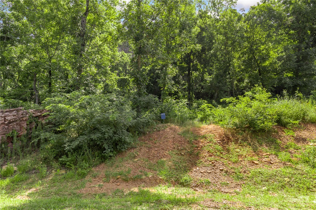 Round Mountain Estates - Land