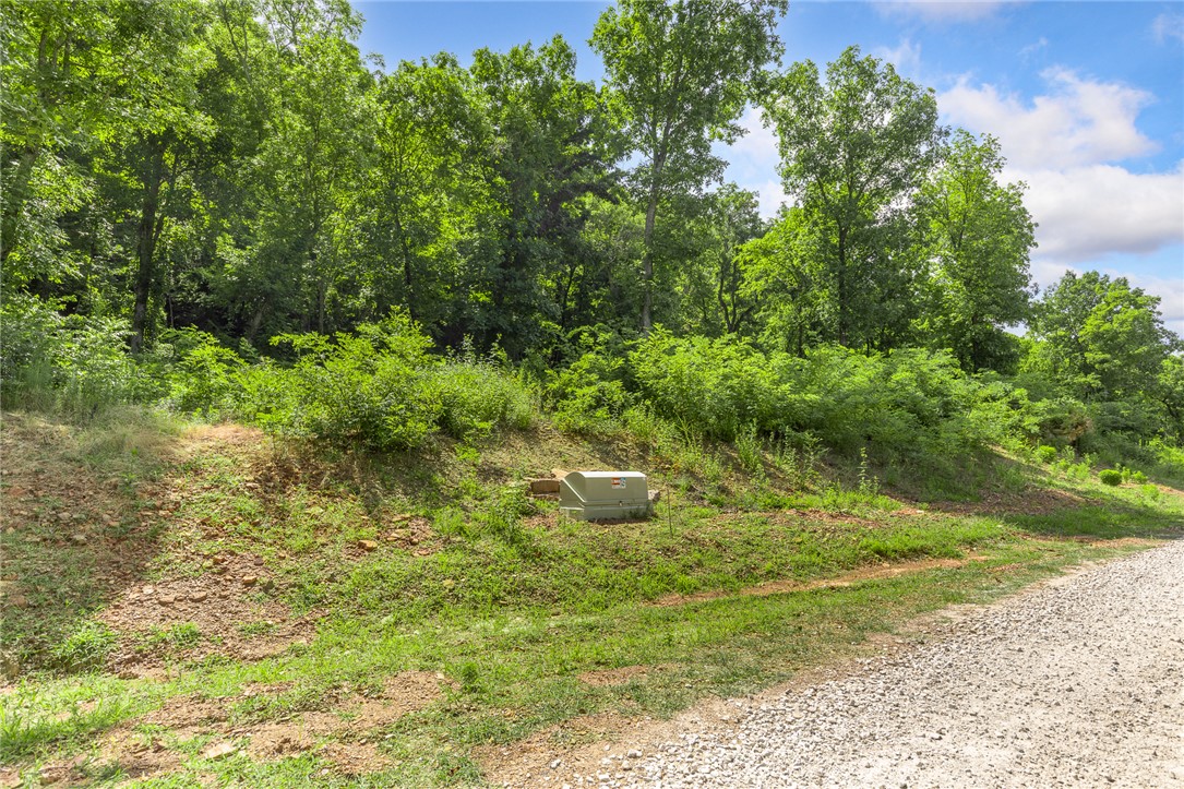 Round Mountain Estates - Land