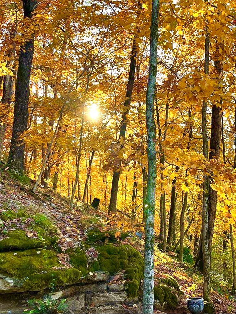 Clayton Survey - Residential