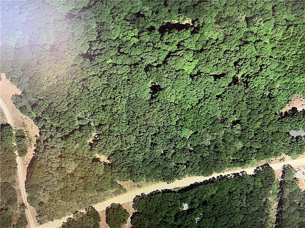 wooded property with a radio tower on it that will remain as leased area