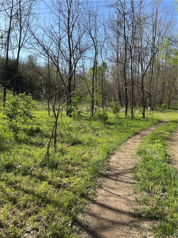 This 16.34 acre parcel offers both privacy and convenience close to Beaver lake with mature trees and easy access from Hwy 264. Perfect for a secluded cabin, a weekend getaway, or simply investing.