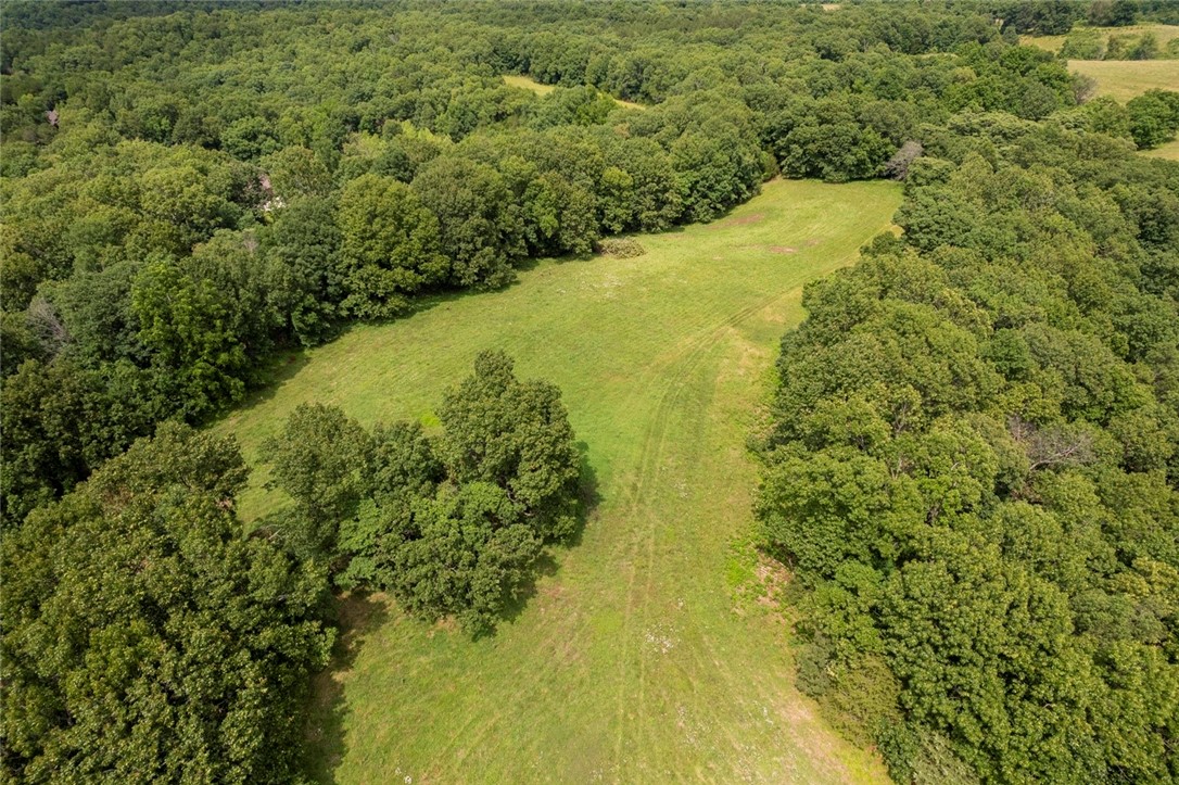 Come explore this unique piece of land and imagine the lifestyle it could offer.
Approximately 21 acres located just south of Berryville, this stunning mountain-top property offers some of the most breathtaking views in the area—an ideal setting to build your forever home. Enjoy sweeping south and southwest vistas of rolling hills, or take in the peaceful beauty of a distant northwest-facing viewpoint. With minimal light pollution, your evenings here could be filled with starry skies. The land features a balanced mix of open pasture and mature woods, creating a haven for local wildlife or a great environment for a small number of livestock. Whether you're looking for privacy, natural beauty, or space to live a rural lifestyle, this property delivers. Electricity runs through the property, making it ready for your home or future plans.