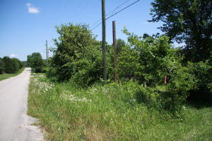 Great Location! Lots are $30,000 each.