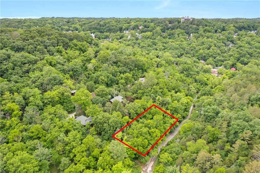 Located along the peaceful Mill Hollow Rd in Eureka Springs, this vacant lot offers a blend of natural beauty and convenience, just minutes from shopping, dining, and the artsy charm of downtown. With public road access and utilities nearby, it's a great setting for a future homesite or weekend getaway. The lot provides a natural landscape ideal for a rustic retreat or a creative build. Outdoor enthusiasts will enjoy the quiet surroundings and nearby recreational opportunities.