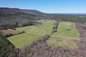 This amazing 120 +/- acre tract with an adorable little farmhouse is bordered on 2 sides by national forest and is located just 5 miles south of New Blaine, Arkansas in the heart of ATV country. The home is a 1,624 +/-square foot 3 bedroom, 1 bathroom farmhouse that has great bones and would make someone a fantastic primary home or possibly a rental. In the mood for a 50+ mile ATV ride? Great, you literally can ride out of your home place and go all the way to Mount Magazine and back and ride so many trails in between. The pasture status is in excellent condition to run cattle or cut hay and with 6 ponds and 2 creeks there is plenty of water for livestock and wildlife.