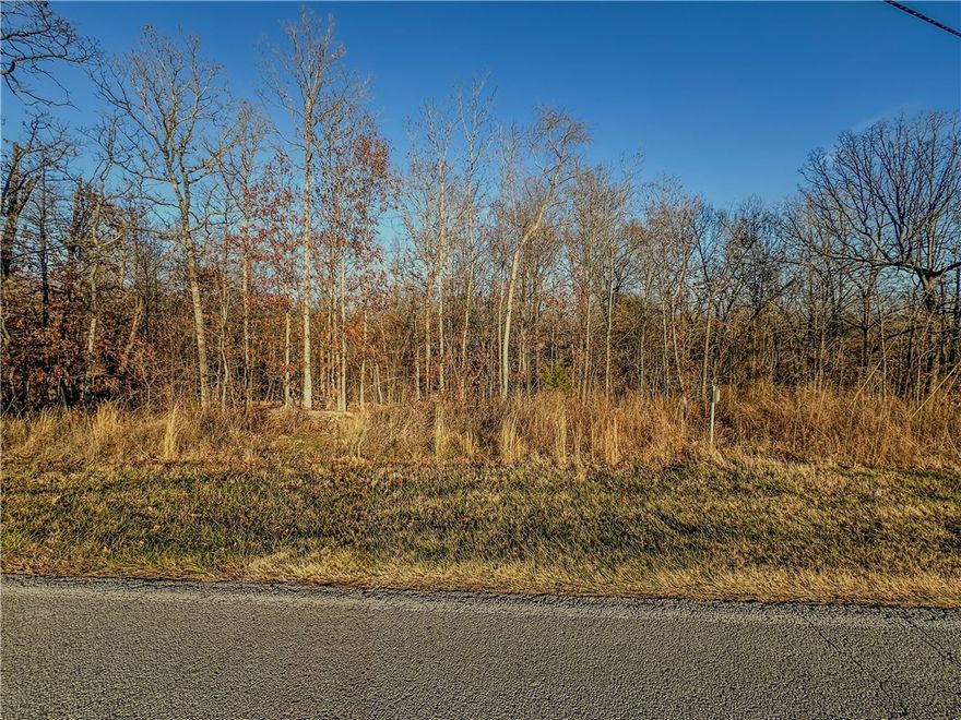 Stoneykirk near Lake Loch Lomond Flat front slight slope in back Gorgeous Lots = 2 available together but priced separately. Near Loch Lomond Lake and boat ramp.