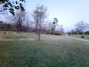 Other Subdivision - Residential