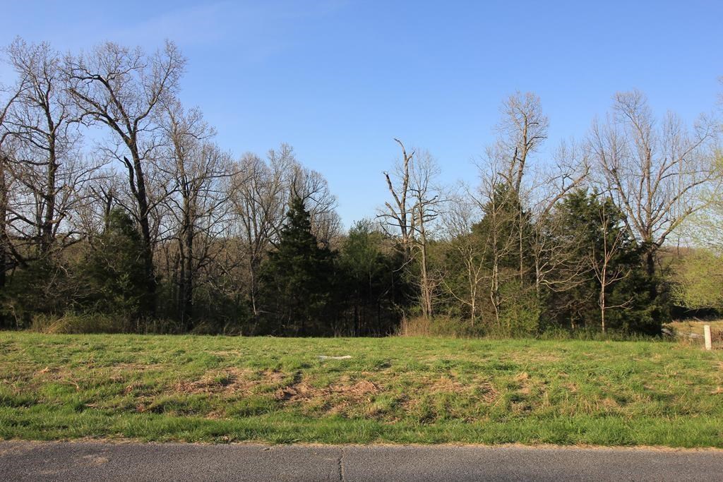 Great lot to built on! Second phase of Sylvan Acres. See covenants. Remarkable views. All lot are wooded and sloped. Close to Beaver Lake! Public roads and rural fire department