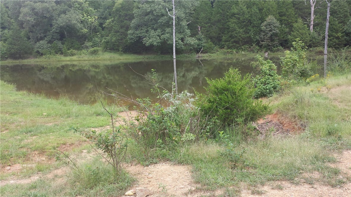254 acres. Several different parcels. Taxes wrong. Lots of pasture, pond, Wooded, runs uphill from the road to mountain top. Driveable roadways thru out the property. Property is behind a locked gate with cattle grazing. Great hunting area. Tax records show 105 acres in pasture. Property on Lee Creek probably in a flood plain and buyer should verify that before submitting an offer, if it matters. Owner will consider splitting according to tax parcels.