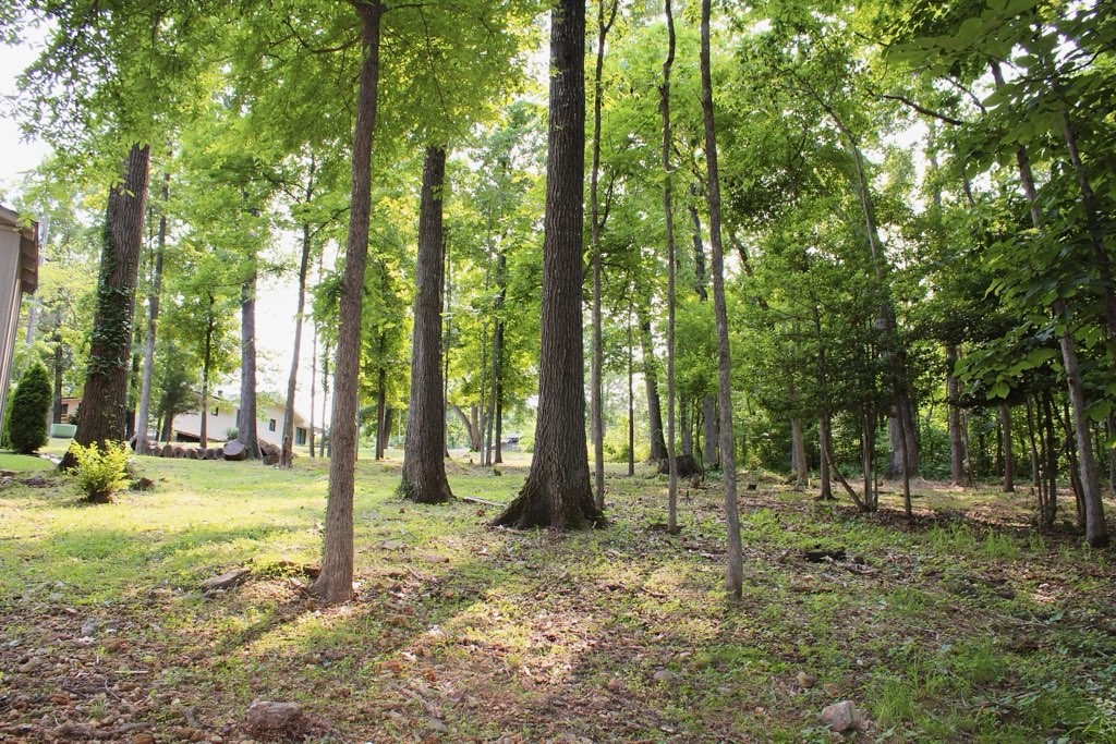 Attention outdoor lovers! These prime Bella Vista lots offer unbeatable trailside living-- situated right next to the popular Tunnel Vision trailhead. Step outside and hit the trails for a hiking or biking adventure straight from you doorstep. Near several golf courses, Lake Avalon Beach, and a full range of community amenities and just a short drive to I-49.
Each individual lot recently perc tested for 3-4 bedrooms so you could build two homes or allow for you to build your larger custom l4-6 bedroom dream home.
Don't miss your chance to build in one of the most desirable locations in Bella Vista!
Lot 58 is .27 acres.
Additional parcel #16-02420-000, Lot 59 is .28 acres for a total of .55 acres for both