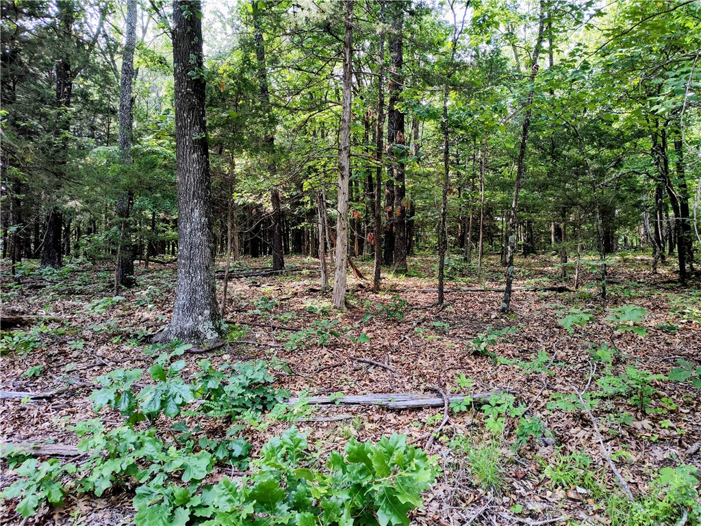 Have you been looking for the perfect place to set your roots. Well you have found it. Location is very peaceful and only half mile outside of city limits. Within 10 minutes of Rogers and Pea Ridge and 25 minutes of Walmart headquarters. Tons of level area so pick your spot for building locations on the 5 acres of land. This land offers beautiful space for a large yard and a garden. Lots of deer and maybe an occasional turkey. Large oaks throughout the property. More/less land may be available. White flagging and post with lot numbers along driveway are approximate only.