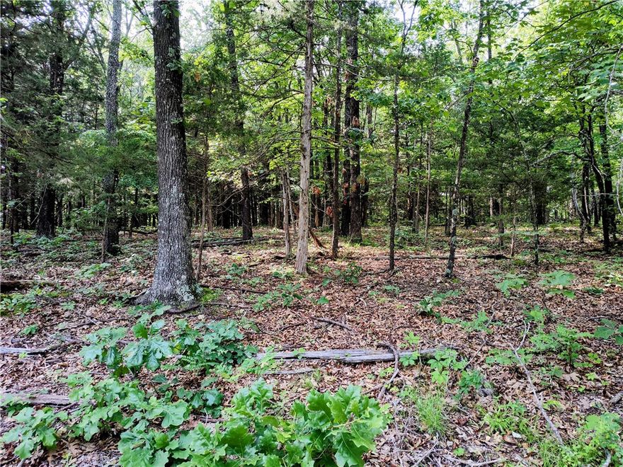 Have you been looking for the perfect place to set your roots.  Well you have found it.  Location is very peaceful and only half mile outside of city limits.  Within 10 minutes of Rogers and Pea Ridge and 25 minutes of Walmart headquarters. Tons of level area so pick your spot for building locations on the 5 acres of land.  This land offers beautiful space for a large yard and a garden.  Lots of deer and maybe an occasional turkey.  Large oaks throughout the property.  More/less land may be available. White flagging and post with lot numbers along driveway are approximate only.