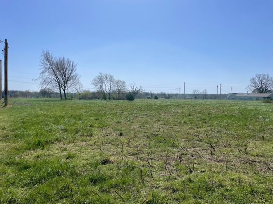 Beautiful 2 acre lot ready for you to build your dream house! Water and electricity are at the street, septic will be needed. Mobile homes are not allowed per covenants.
